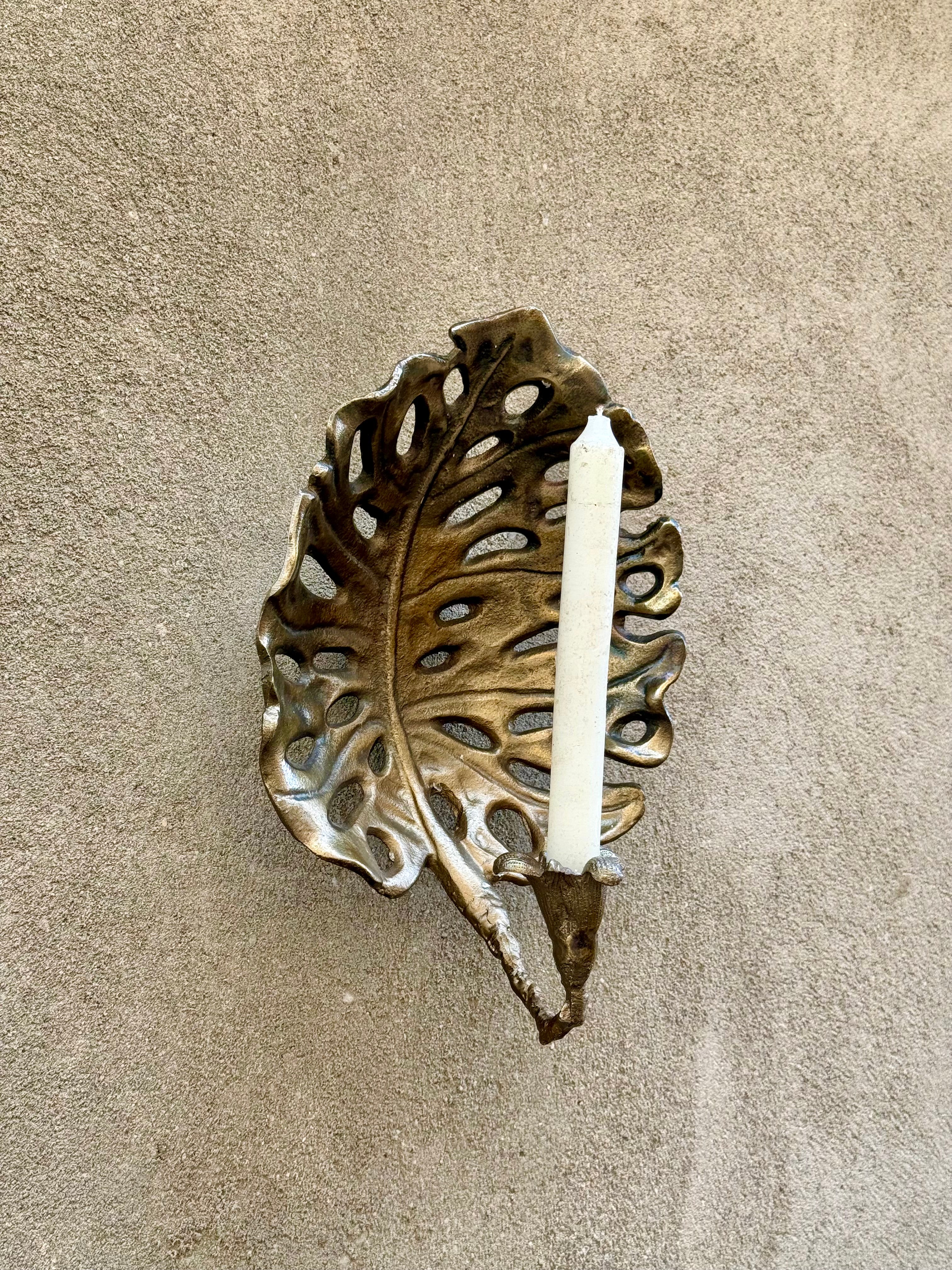 Fenestrate Leaf Set