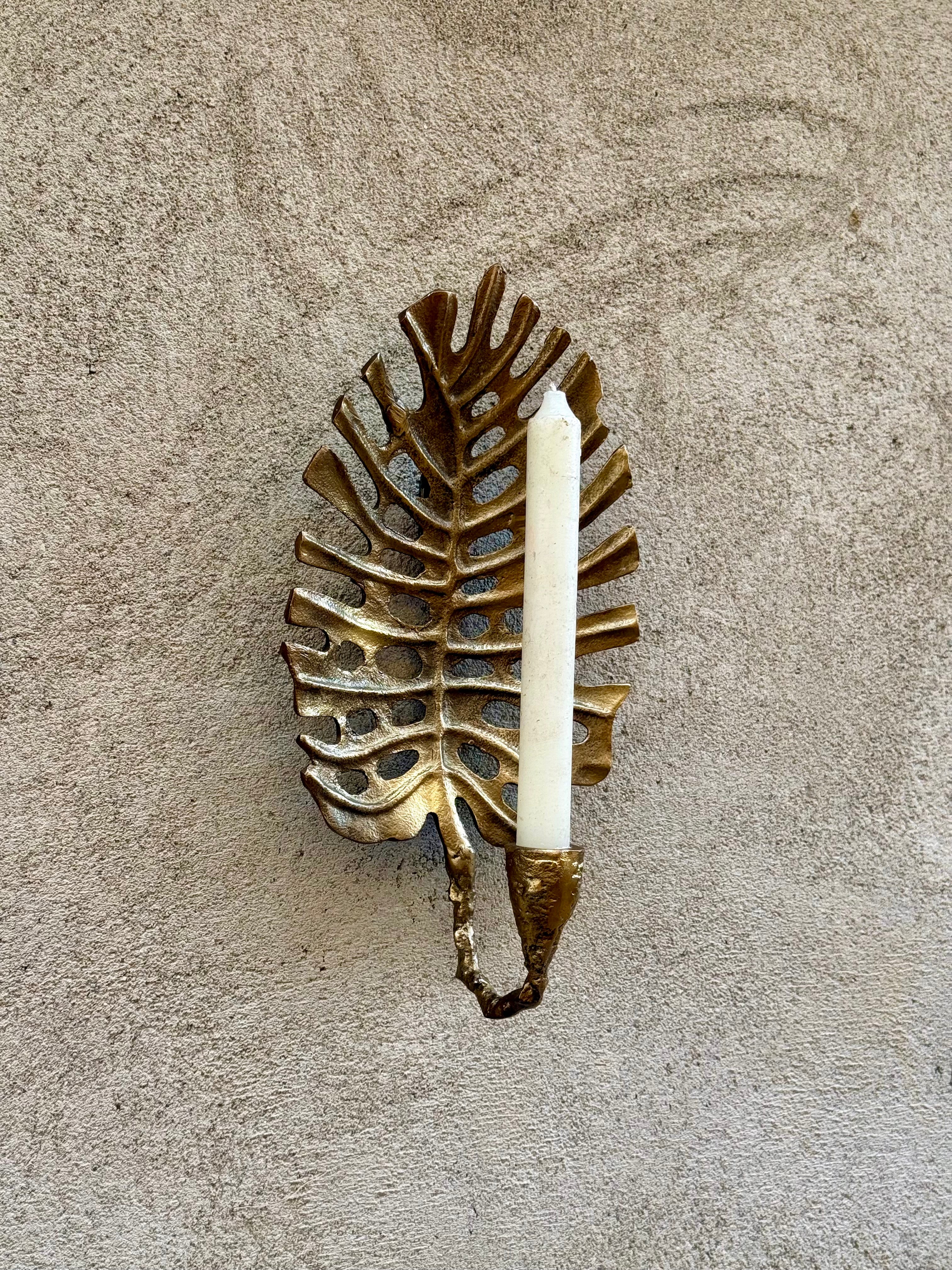 Fenestrate Leaf Set