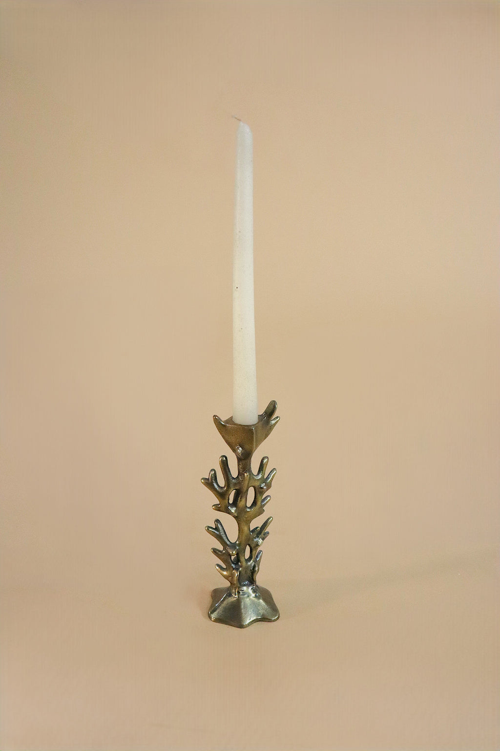 Coral Candle Holder