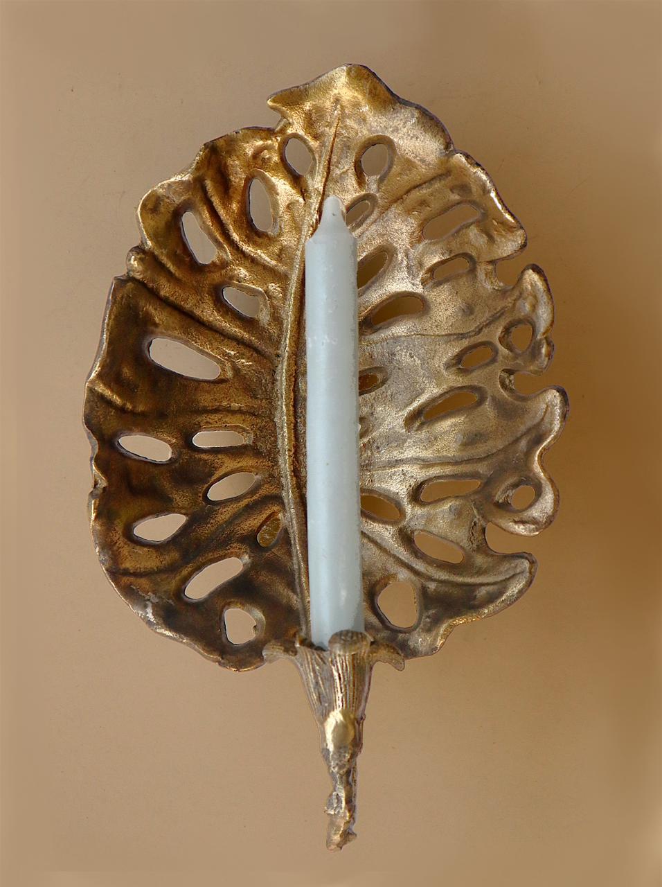 Adansonii Wall Decor